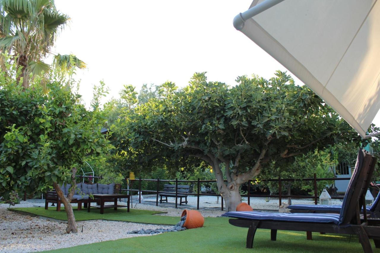 St.George'S Country Retreat Villa ลิมาซอล ภายนอก รูปภาพ